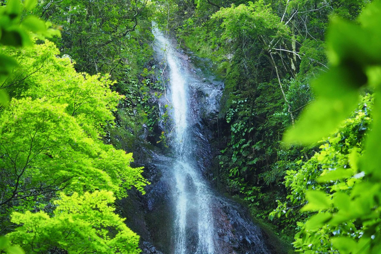 轟の滝（とどろきのたき） | 観光スポット | 佐伯市観光ナビ
