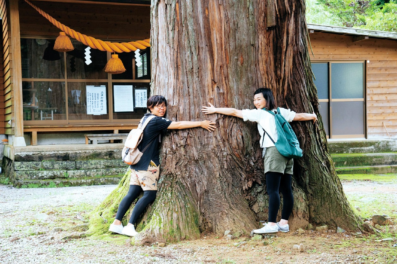 保食神社の御神木