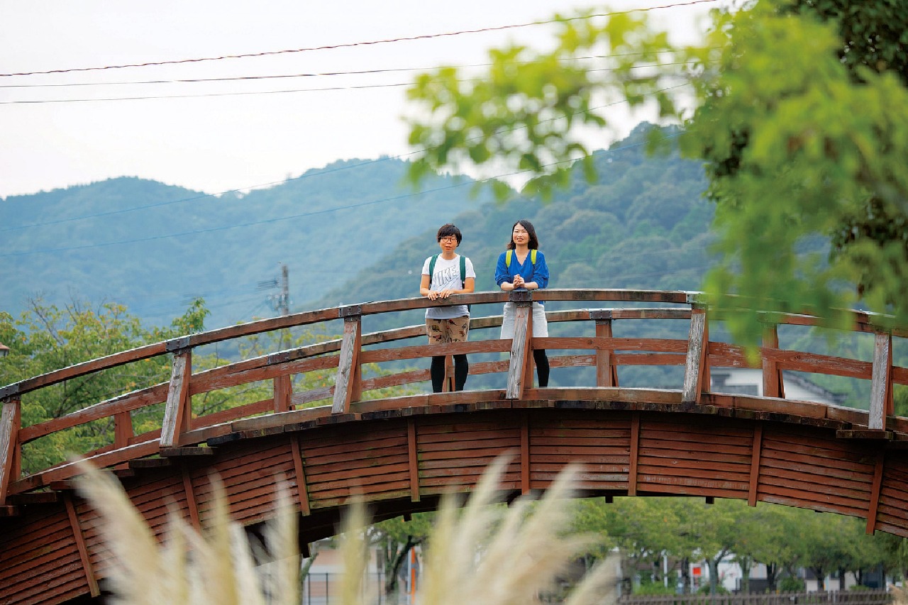 臼坪川菖蒲園