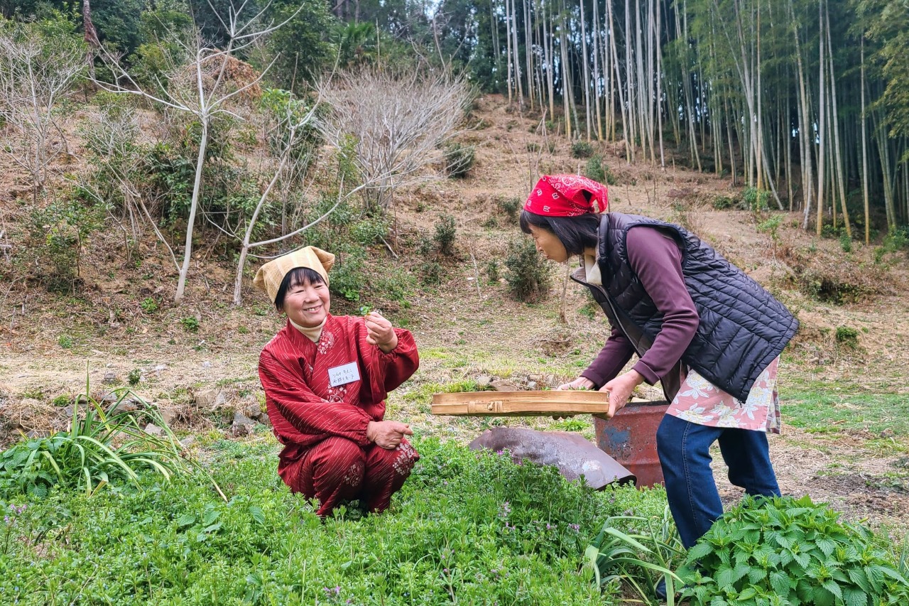 からだ喜ぶ 野草の食養生｜佐伯プレミアム