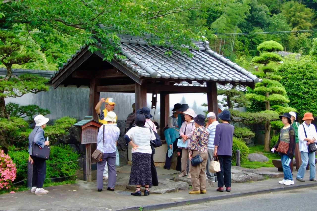 ガイドの様子