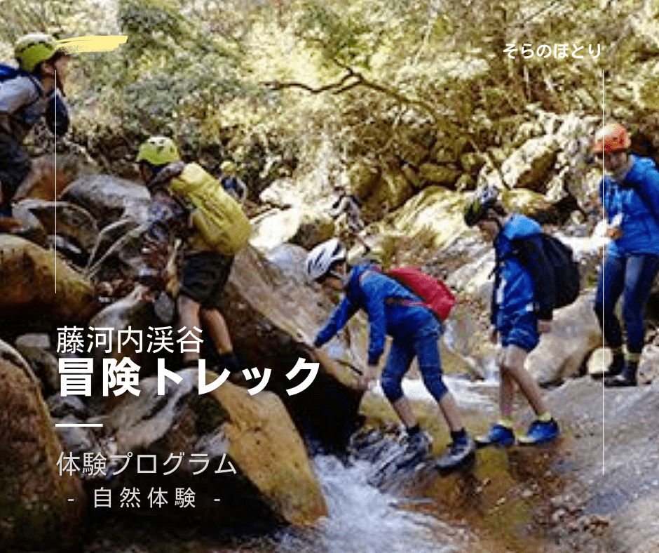 藤河内渓谷 冒険トレック そらのほとり