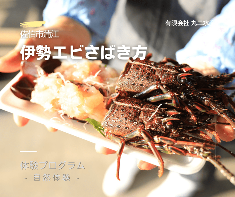 https://maruni-kamae.com/archives/gallery_category/experience