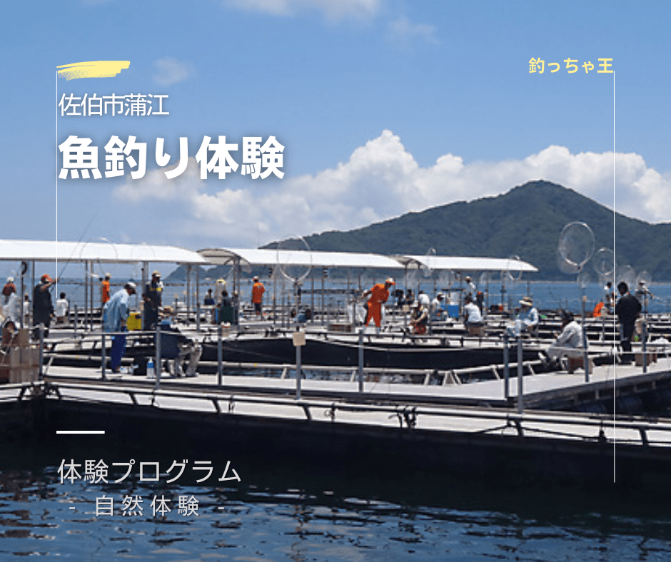 魚釣り体験 釣っちゃ王