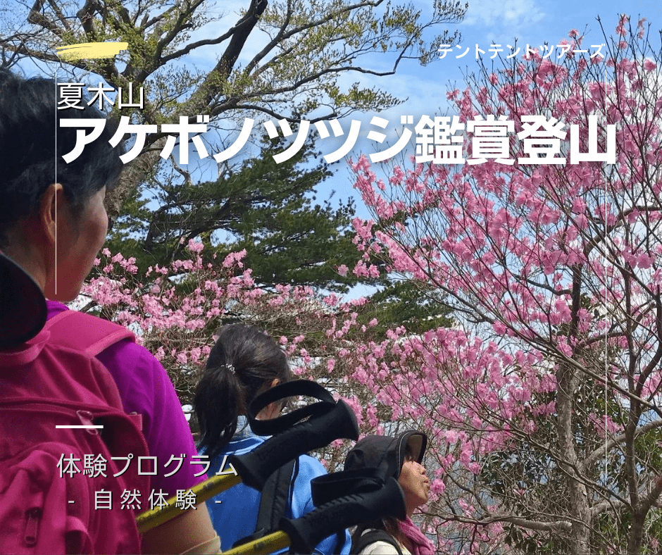 藤河内渓谷キャニオニング テントテント