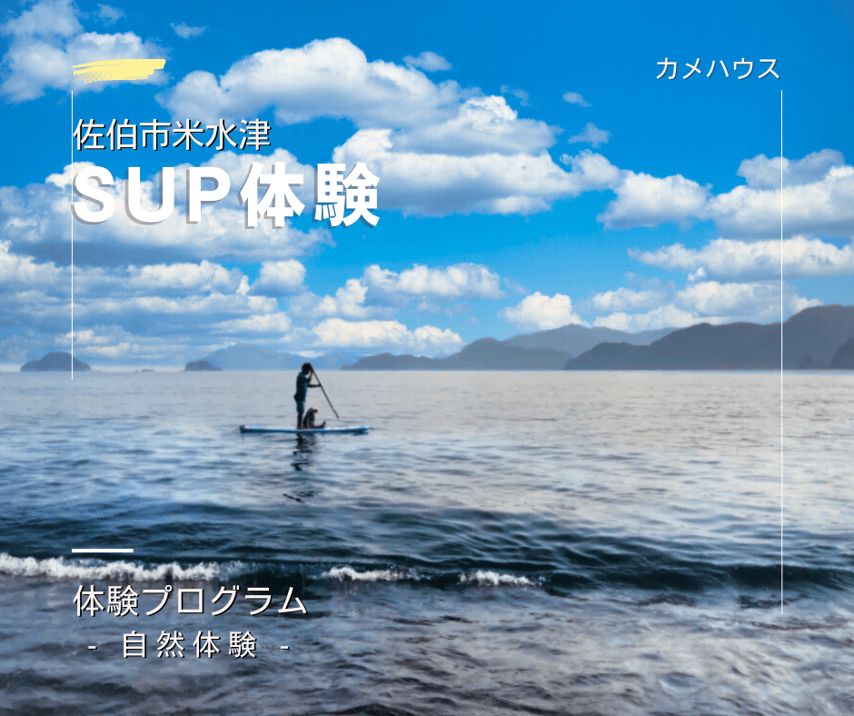 カメハウス SUP体験 佐伯市米水津