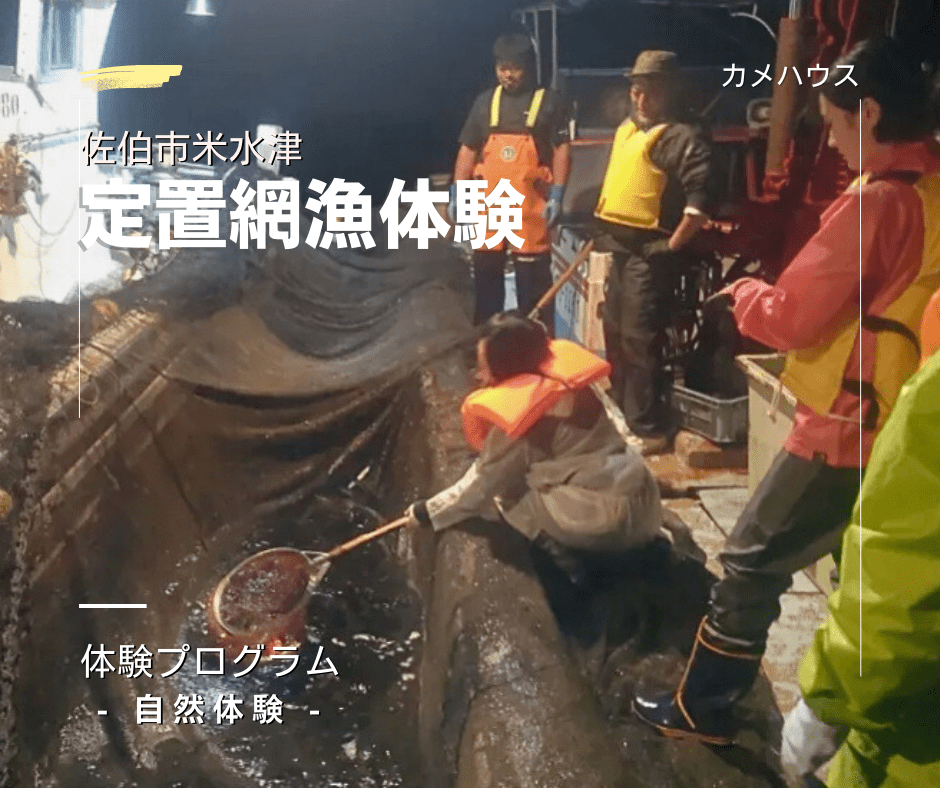 カメハウス SUP体験 佐伯市米水津